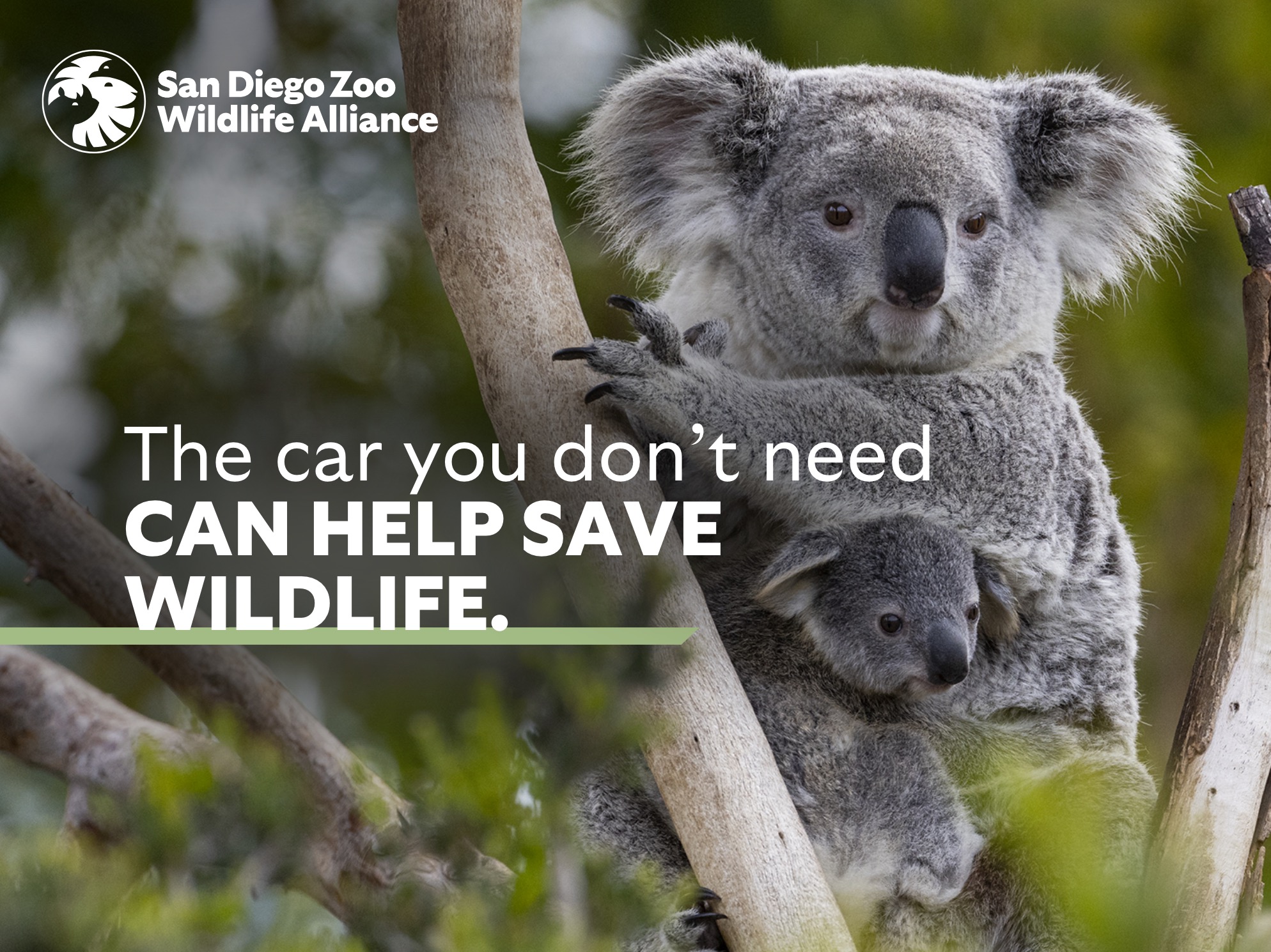 The car you don’t need can help save wildlife. 