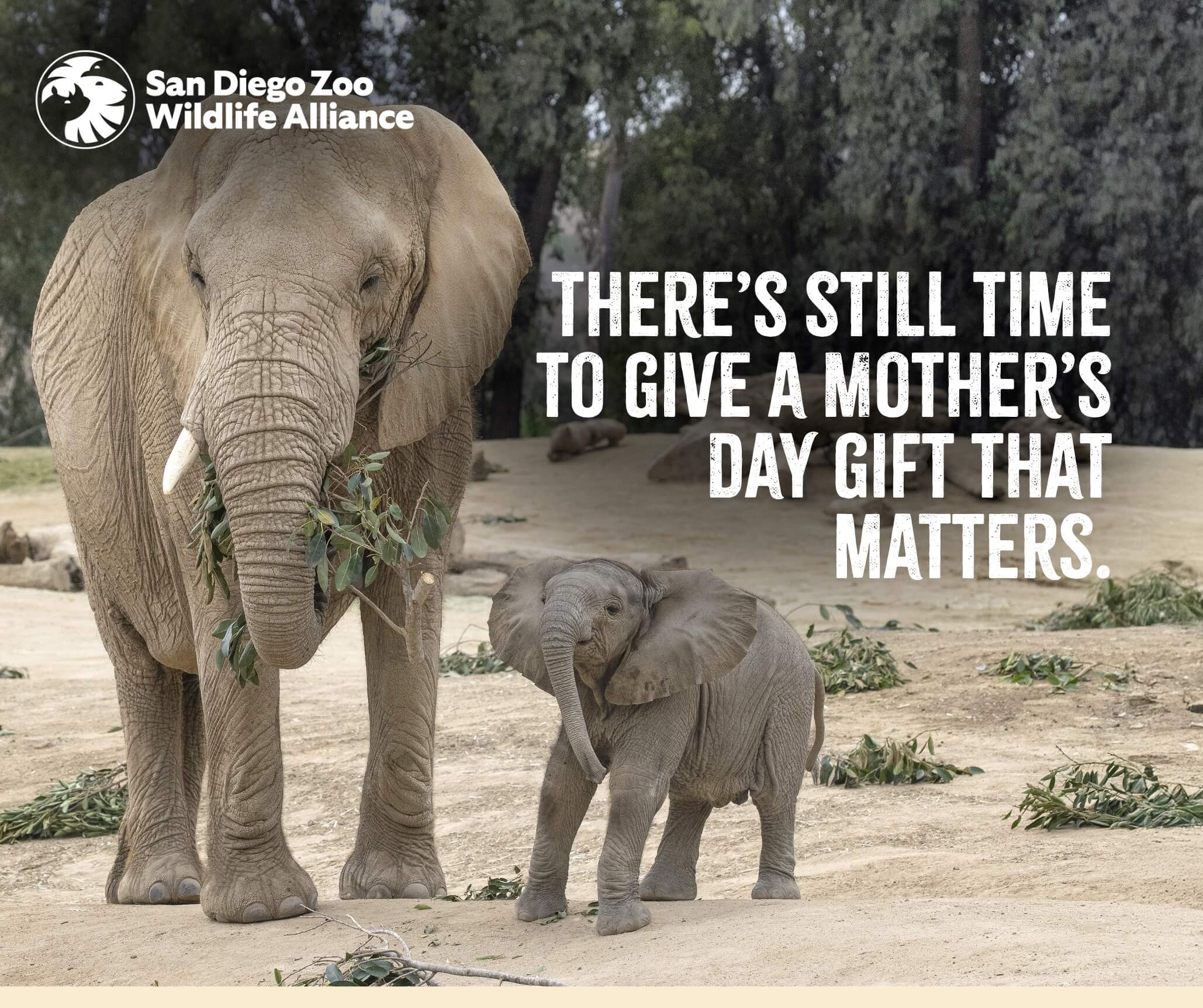 There’s still time to give a Mother’s Day gift that matters. 