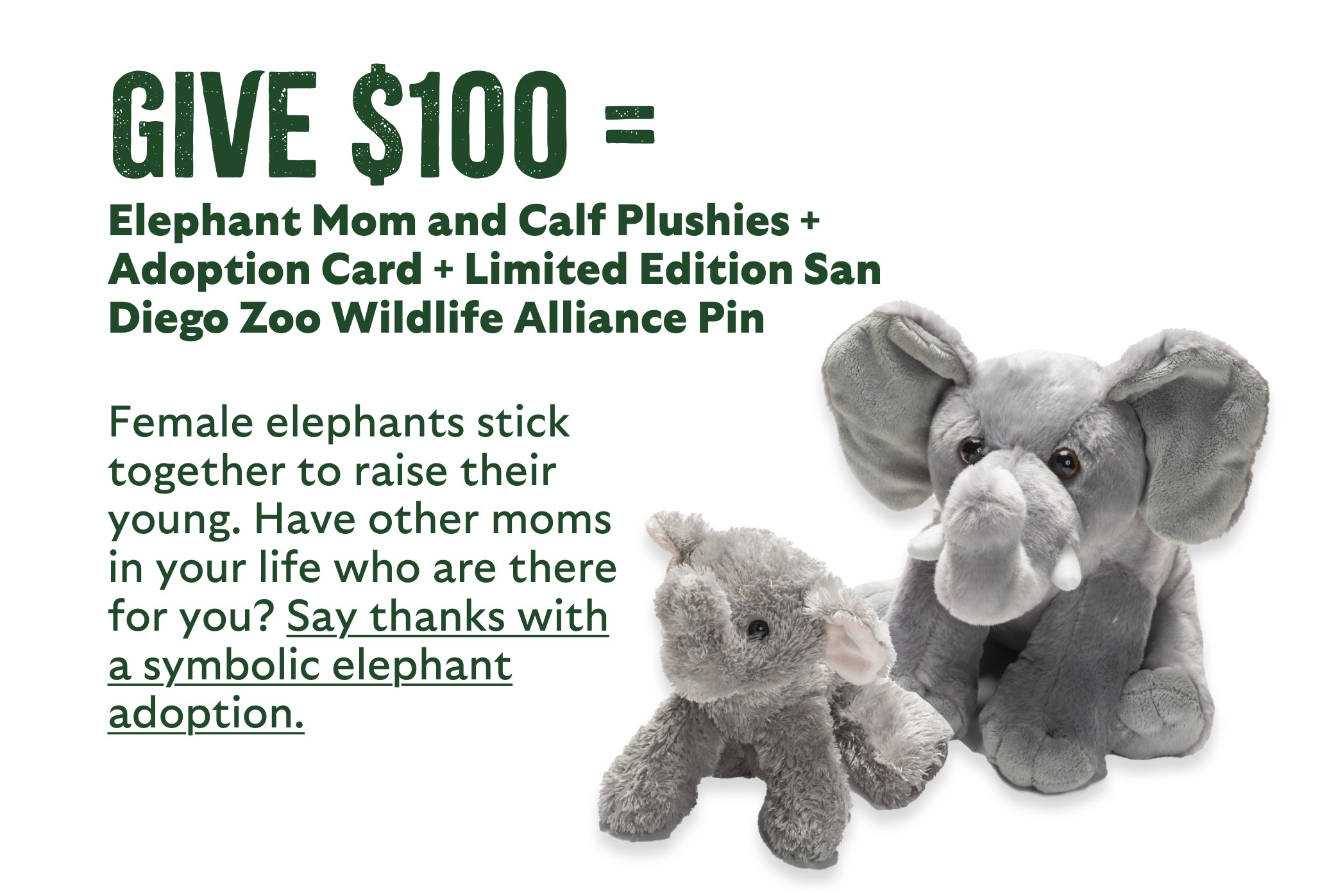 Give $100 = Elephant Mom and Calf Plushies + Adoption Card + Limited Edition San Diego Zoo Wildlife Alliance Pin