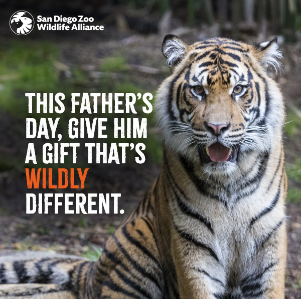 San Diego Zoo Wildlife Alliance - This Father's Day, give him a gift that's wildly different!