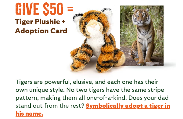 Give $50 = Tiger Plushie + Adoption Card - Tigers are powerful, elusive, and each one has their own unique style. No two tigers have the same stripe pattern, making them all one-of-a-kind. Does your dad stand out from the rest? Symbolically adopt a tiger in his name.