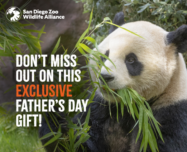 San Diego Zoo Wildlife Alliance - Don't miss out on this exclusive Father's Day gift!