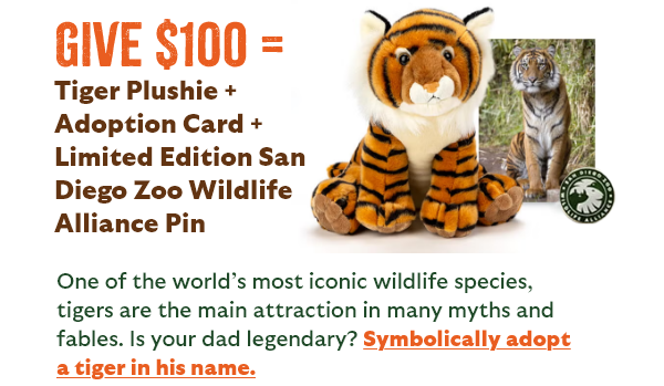 Give $100 = Tiger Plushie + Adoption Card + Limited Edition San Diego Zoo Wildlife Alliance Pin - One of the world's most iconic wildlife species, tigers are the main attraction in many myths and fables. Is your dad legendary? Symbolically adopt a tiger in his name.