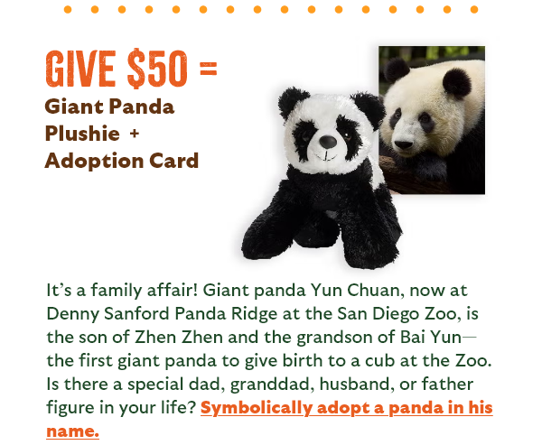 Give $50 = Giant Panda Plushie  + Adoption Card - It's a family affair! Giant panda Yun Chuan, now at Denny Sanford Panda Ridge at the San Diego Zoo, is the son of Zhen Zhen and the grandson of Bai Yun - the first giant panda to give birth to a cub at the Zoo. Is there a special dad, granddad, husband, or father figure in your life? Symbolically adopt a panda in his name.