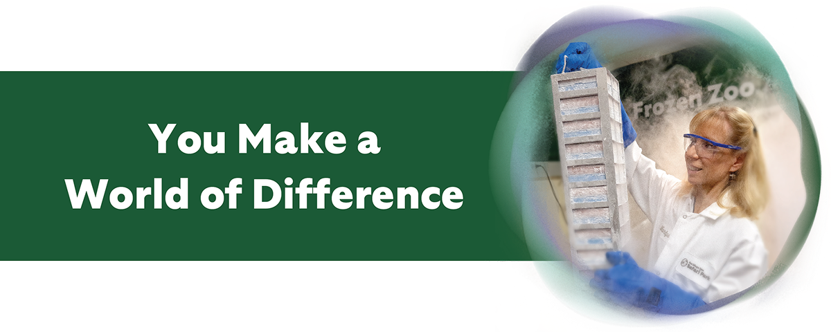 You make a world of difference