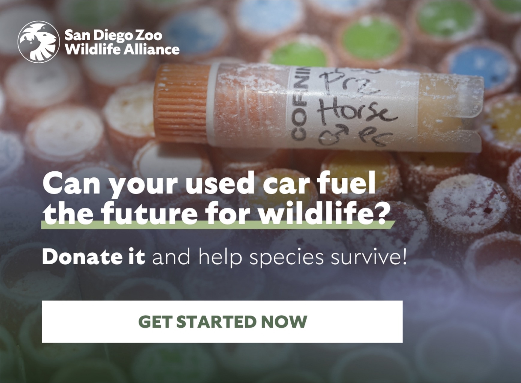 Can your used car fuel the future for wildlife? Donate it and help species survive! Get Started NOW