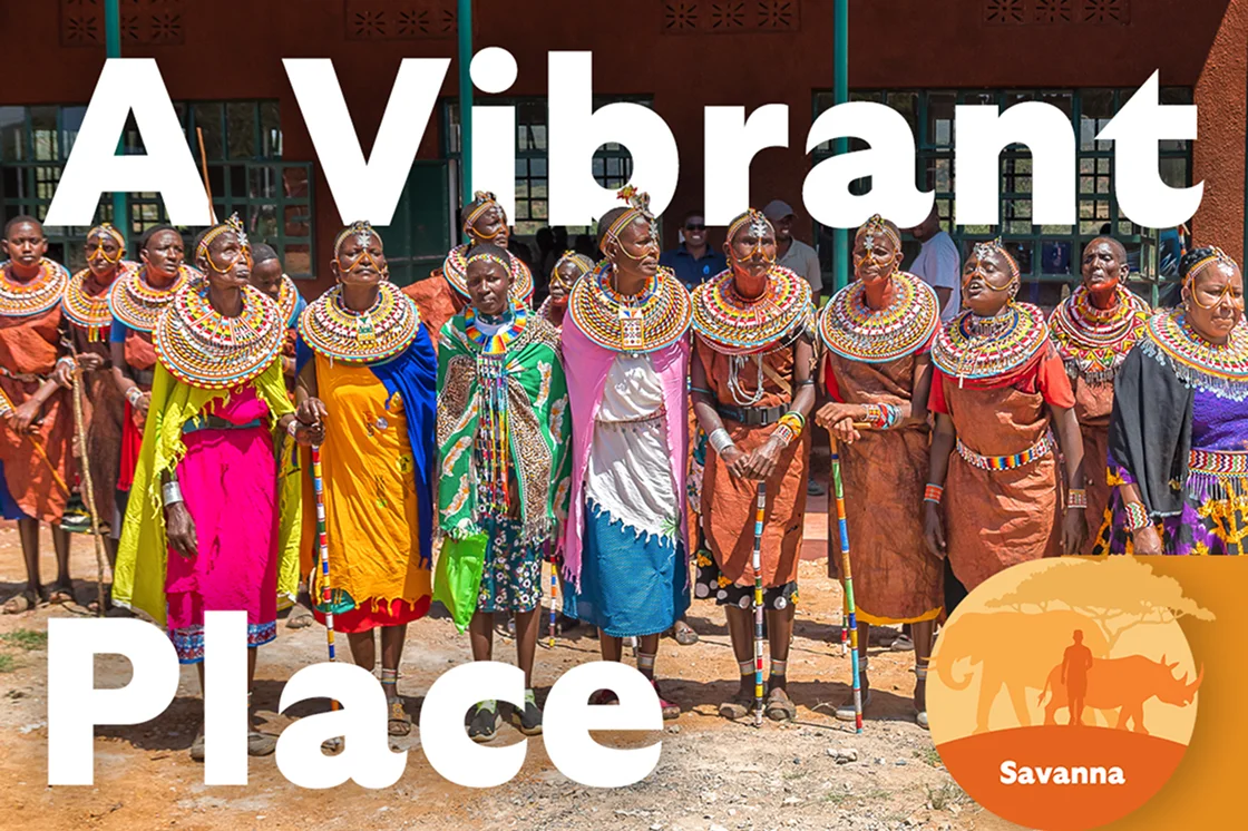 A Vibrant Place Savanna