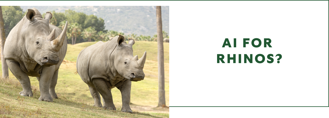 AI For rhinos? Rhinos
