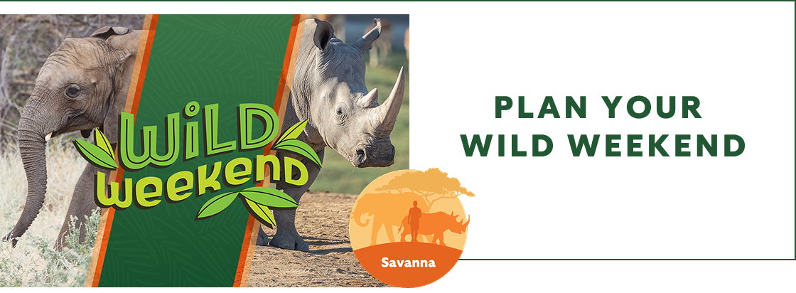 plan your wild weekend- wild weekend