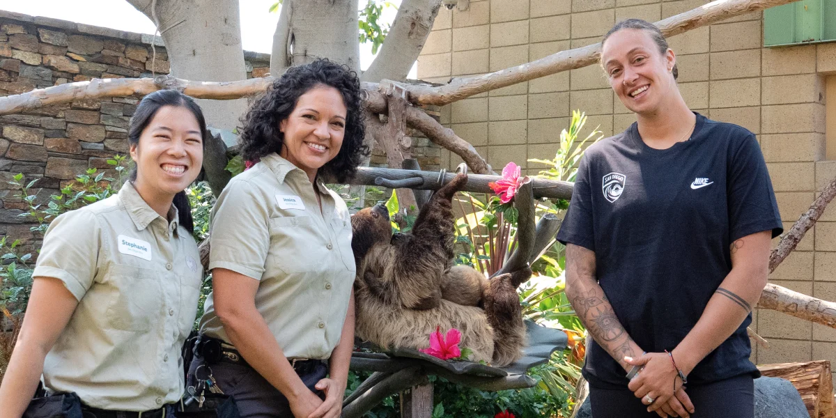 wildlife specialists with wave soccer player