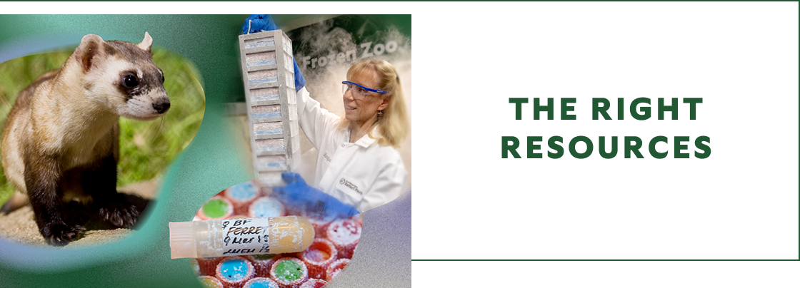 The right resources - image of otter, scientist, vials
