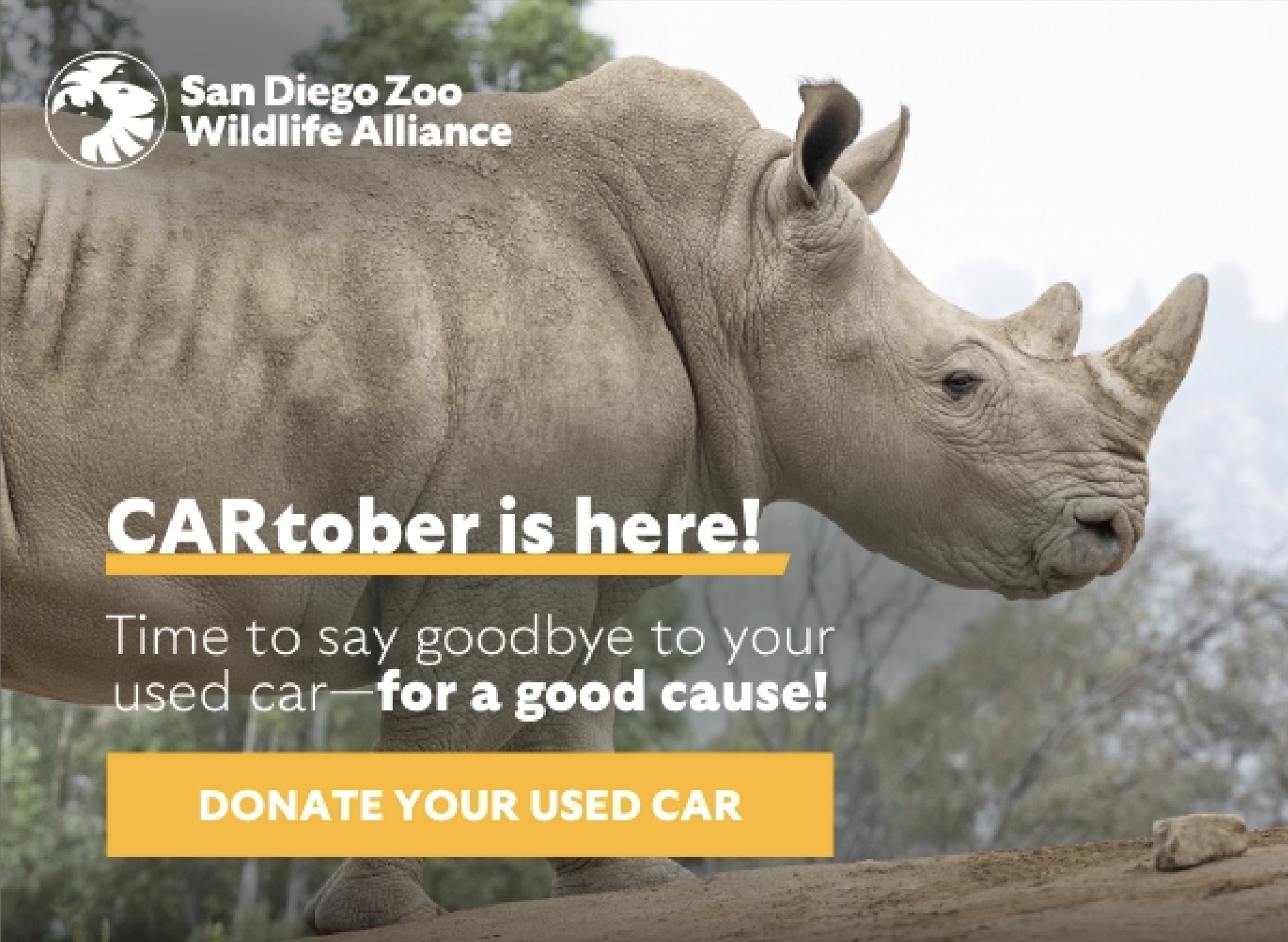 CARtober is here! Time to say goodbye to your used car—for a good cause! Donate Your Used Car