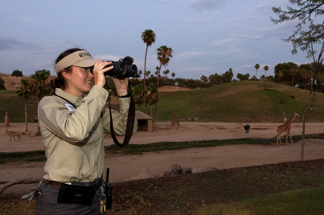 Safari Park with Binoculars