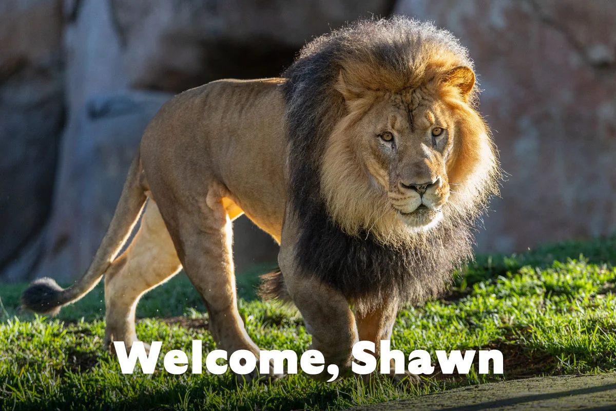 Welcome, Shawn