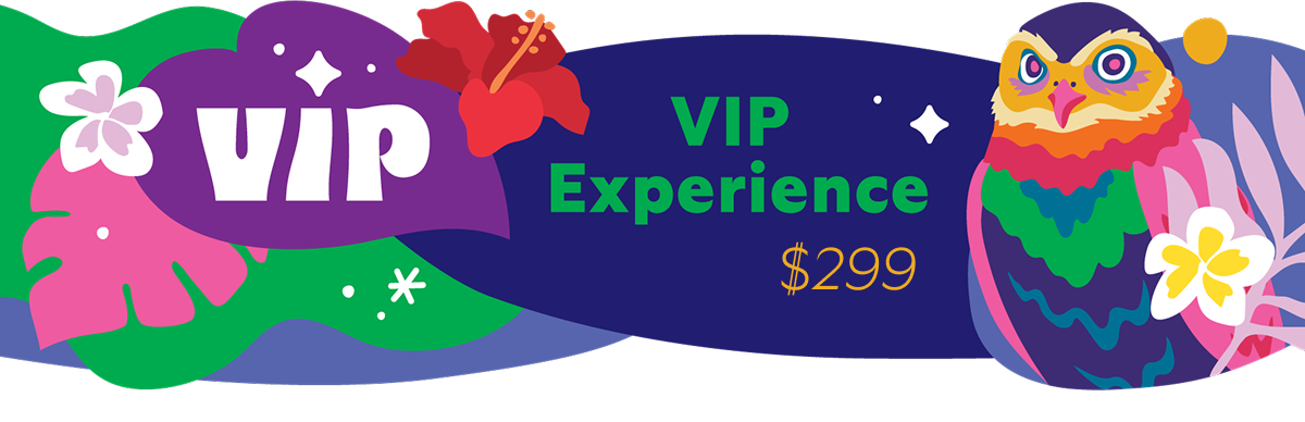 VIP Experience $299