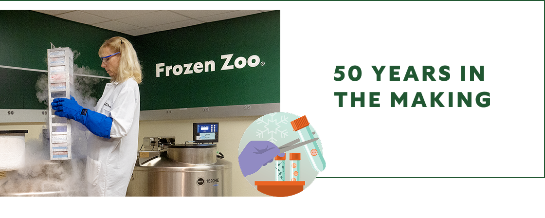 50 Years in the Making