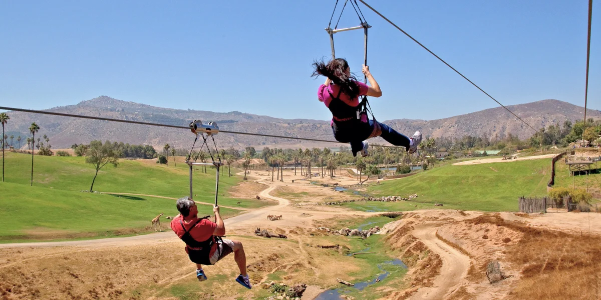 Ziplining