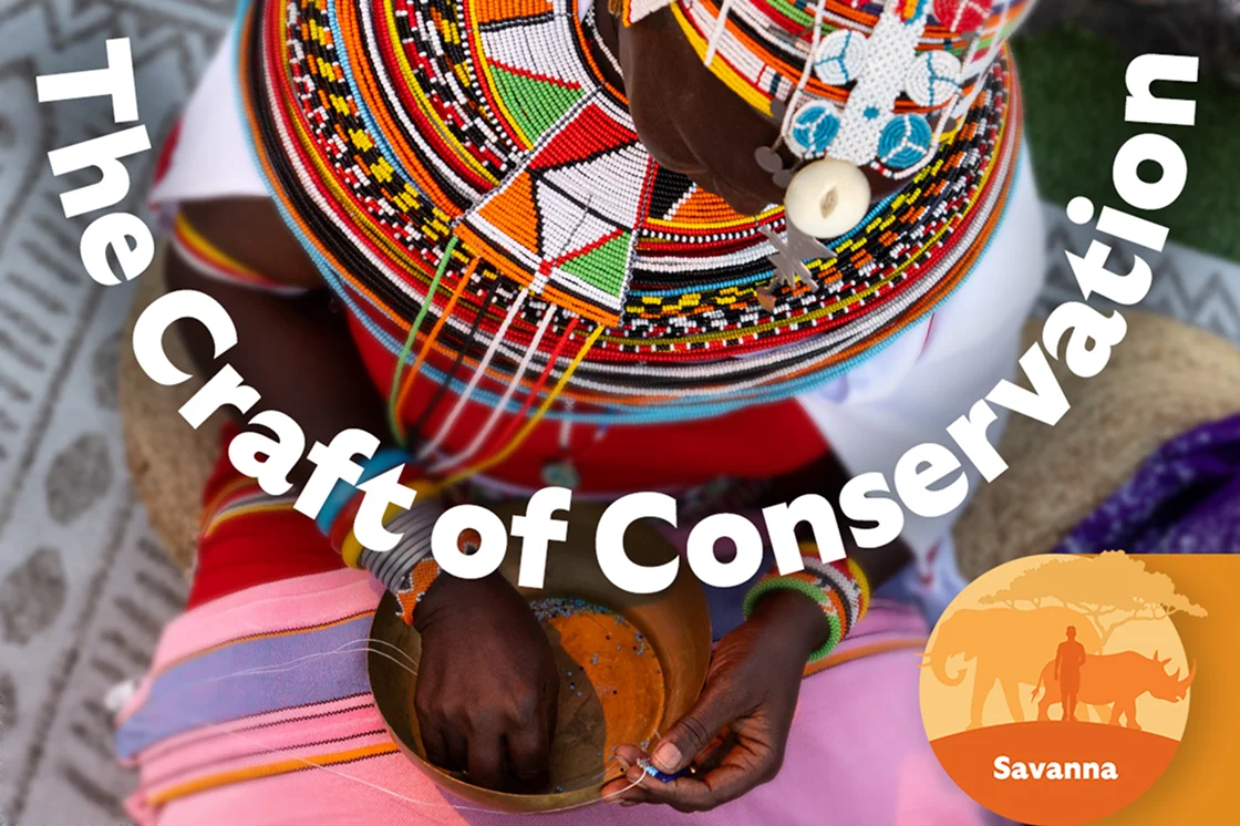 craft of conservation