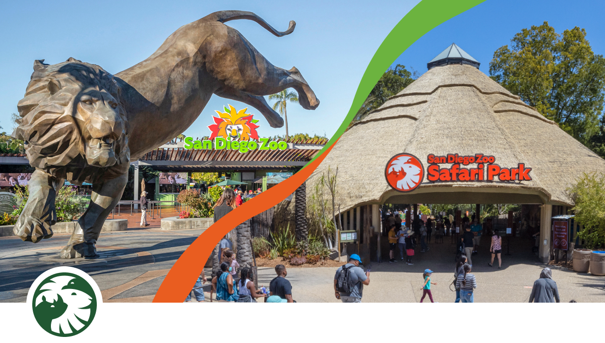 Lion zoo and park