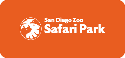 Safari Park