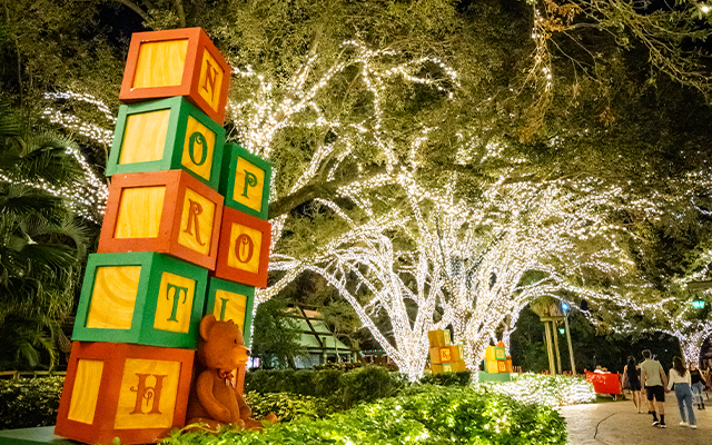 Image of a view of Busch Gardens Tampa Bay, of decorated trees with christmas lights and a sign of stacked blocks that reads "NORTH POLE"