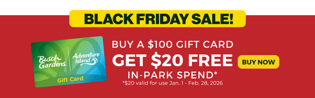 Image reads "BLACK FRIDAY SALE! BUY A $100 GIFT CARD, GET $20 FREE IN-PARK SPEND!"
