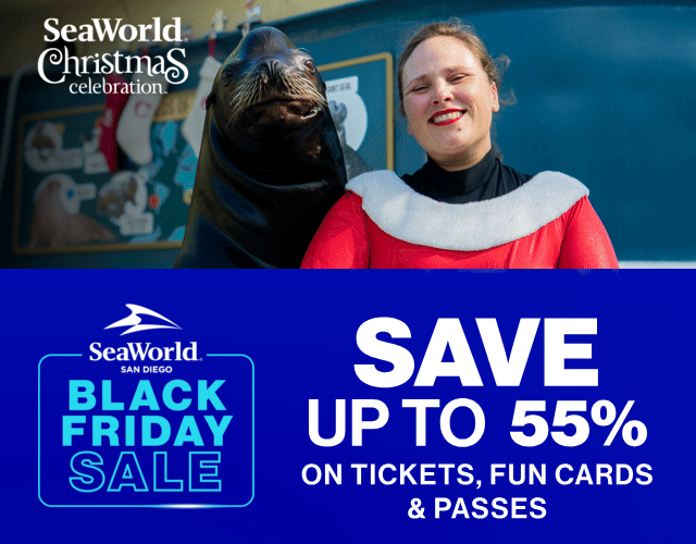 Black Friday Presale