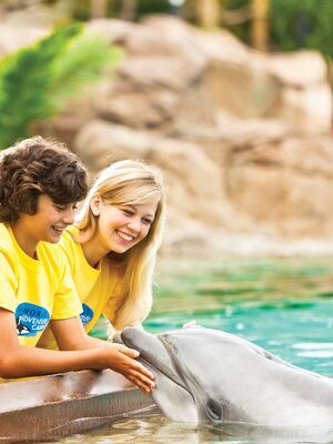 Save on Camps