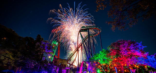 An image of the Shiekra Roller Coaster at Busch Gardens with fireworks in the background at night.