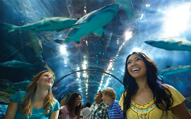 Plan your visit!