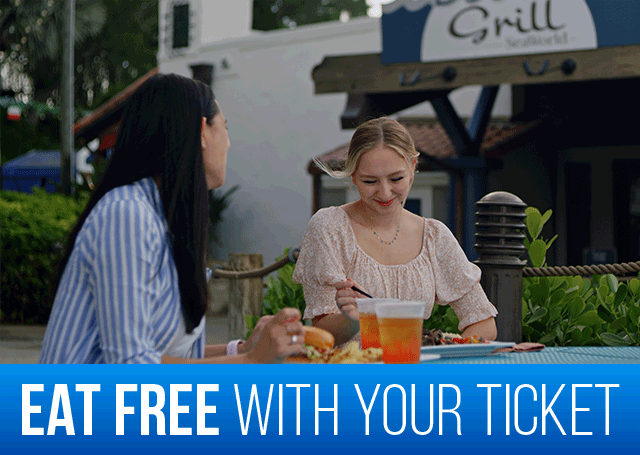 Plan your visit!