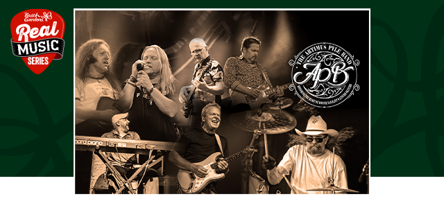 An image of The Artimus Pyle Band