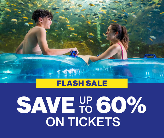 Plan your visit!