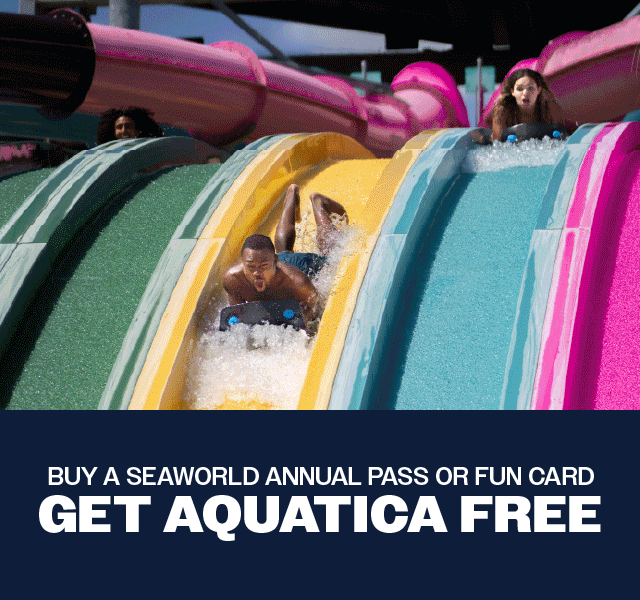 Plan your visit!