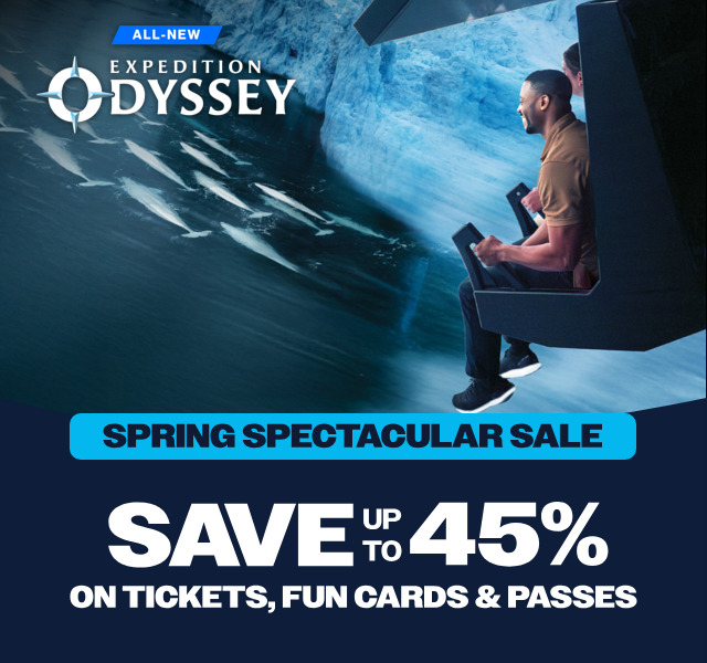 Plan your visit!