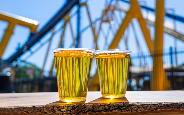 An image of two free 7 oz. beers at Busch Gardens