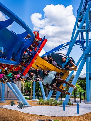A father and son riding the roller coaster Phoenix Rising at Busch Gardens