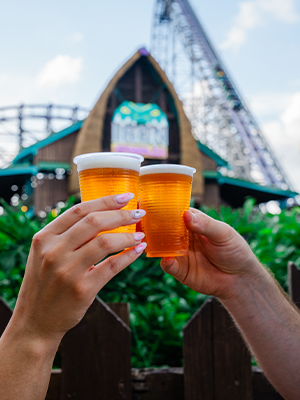 Two 7 oz. Free Beers at Busch Gardens