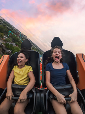 The roller coaster Tigris at Busch Gardens