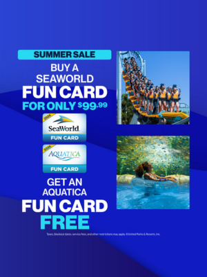 Summer Sale