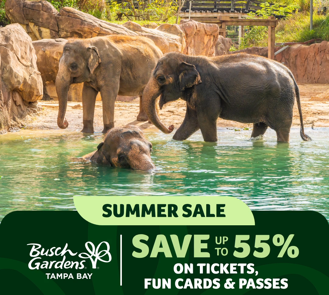 Busch Gardens Tampa Bay Summer Sale: Save up to 55% on Tickets, Fun Cards & Passes. 