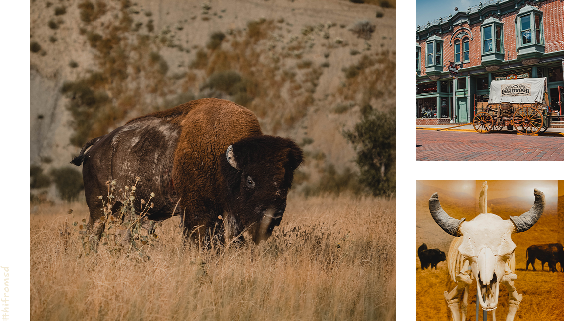 South Dakota Collage