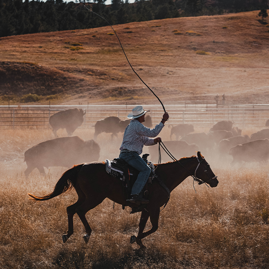 Buffalo Round-up & Arts Festival