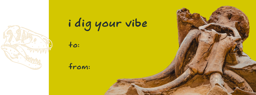 I Dig Your Vibe