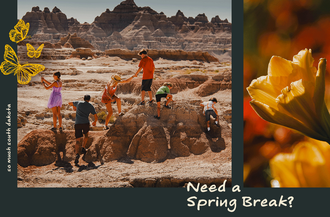 Need a Spring Break?