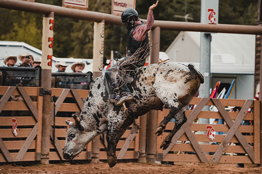 Deadwood PBR