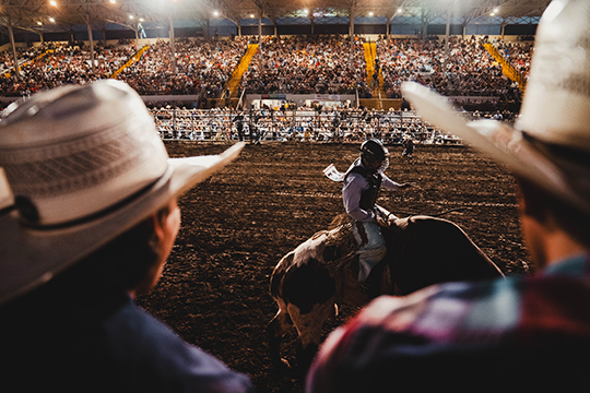 SD State Fair