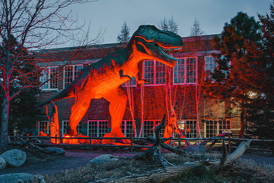 Museum After Dark