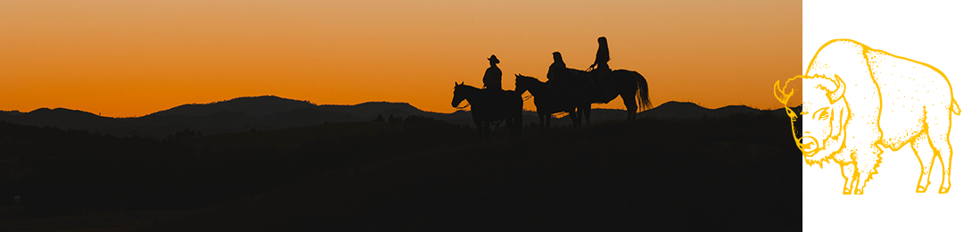 Horses at Sunset
