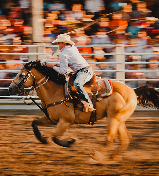 Sitting Bull Stampede Rodeo